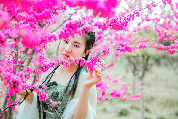 漫步西湖，一杯茶，一份宁静